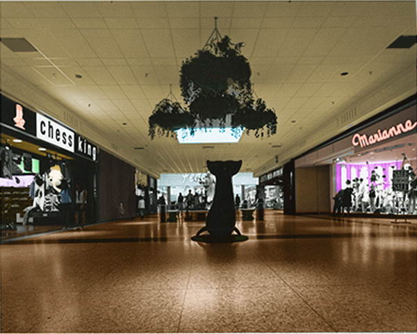 West Main Mall - Old Photo (newer photo)